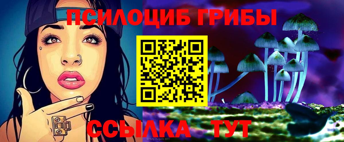 закладки  Галлюциногенные грибы мухоморы  Псилоцибиновые грибы Magic Shrooms  Вход с VPN  Кохма 