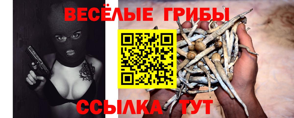 Псилоцибиновые грибы мухоморы Кохма